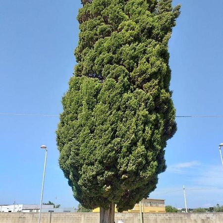 L'Albero Bello Holiday Mazara del Vallo Ngoại thất bức ảnh