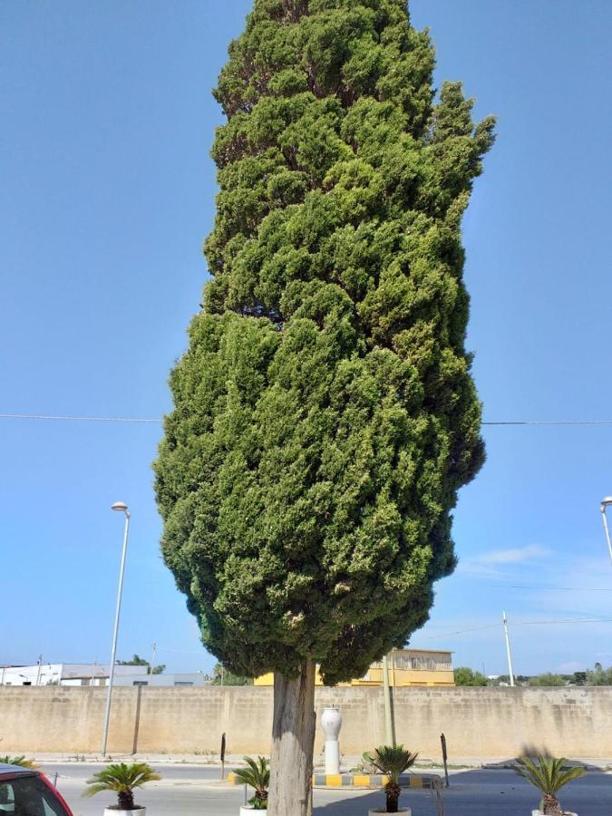 L'Albero Bello Holiday Mazara del Vallo Ngoại thất bức ảnh